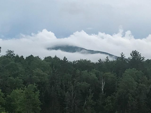 929 Packer Road, Mount Holly, VT 05758
