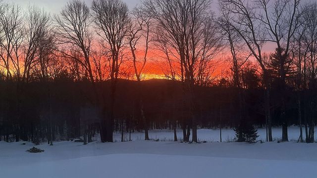 929 Packer Road, Mount Holly, VT 05758