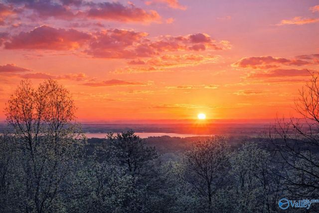 835 Owens Switch Road, Gadsden, AL 35960