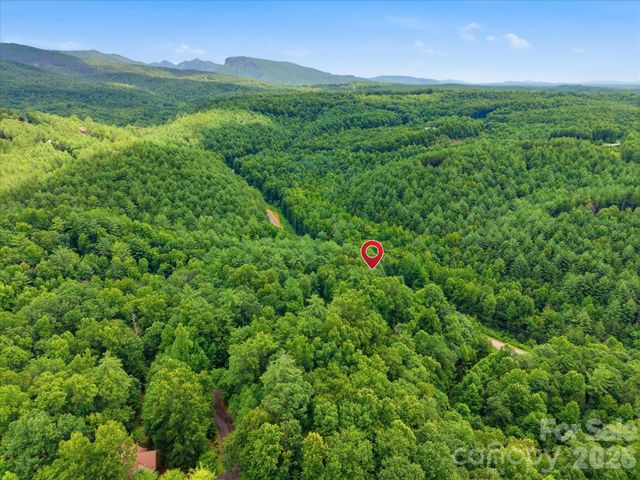 8542 Indian Trace 28, Nebo, NC 28761