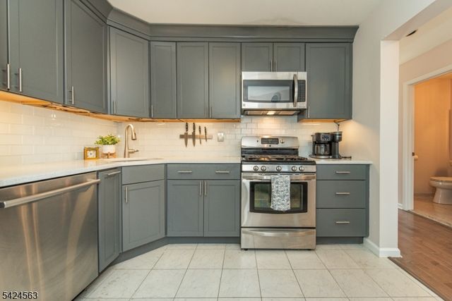 32 Birch Terrace, Mount Arlington Boro, NJ 07856