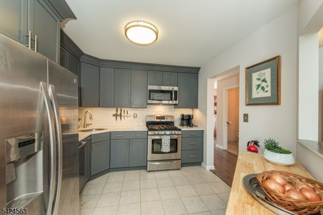 32 Birch Terrace, Mount Arlington Boro, NJ 07856