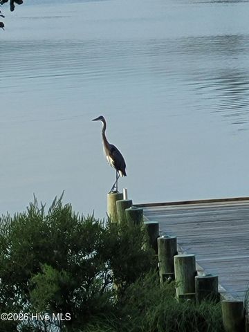 91 Topping Lane, Belhaven, NC 27810