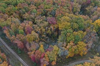 Meadowood Lane Lot 2, Lakeside, MI 49116