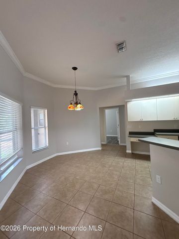 8245 Galgano Lane, Spring Hill, FL 34606
