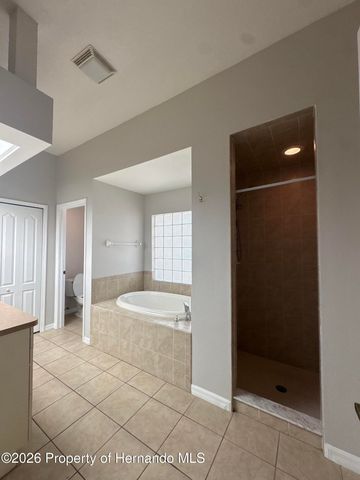 8245 Galgano Lane, Spring Hill, FL 34606
