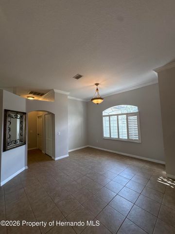 8245 Galgano Lane, Spring Hill, FL 34606