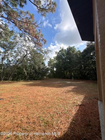 8245 Galgano Lane, Spring Hill, FL 34606