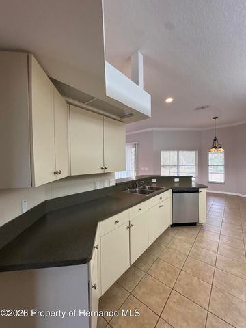 8245 Galgano Lane, Spring Hill, FL 34606