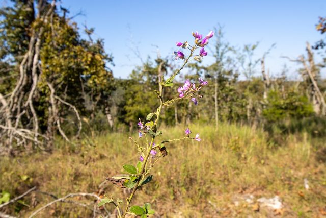 0000 Yukon Court, Mountain Home, AR 72653