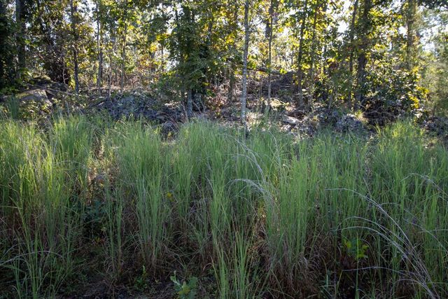 0000 Yukon Court, Mountain Home, AR 72653