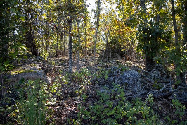 0000 Yukon Court, Mountain Home, AR 72653