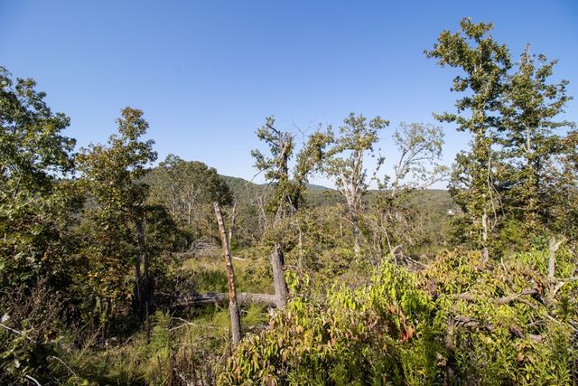 0000 Yukon Court, Mountain Home, AR 72653