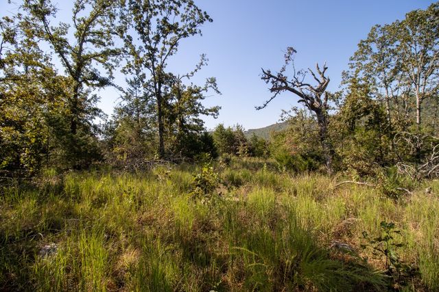 0000 Yukon Court, Mountain Home, AR 72653