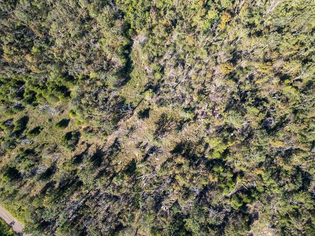 0000 Yukon Court, Mountain Home, AR 72653