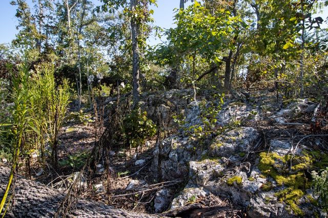 0000 Yukon Court, Mountain Home, AR 72653