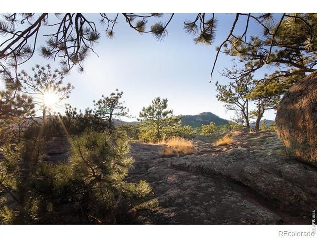 1893 Colard Lane, Lyons, CO 80540