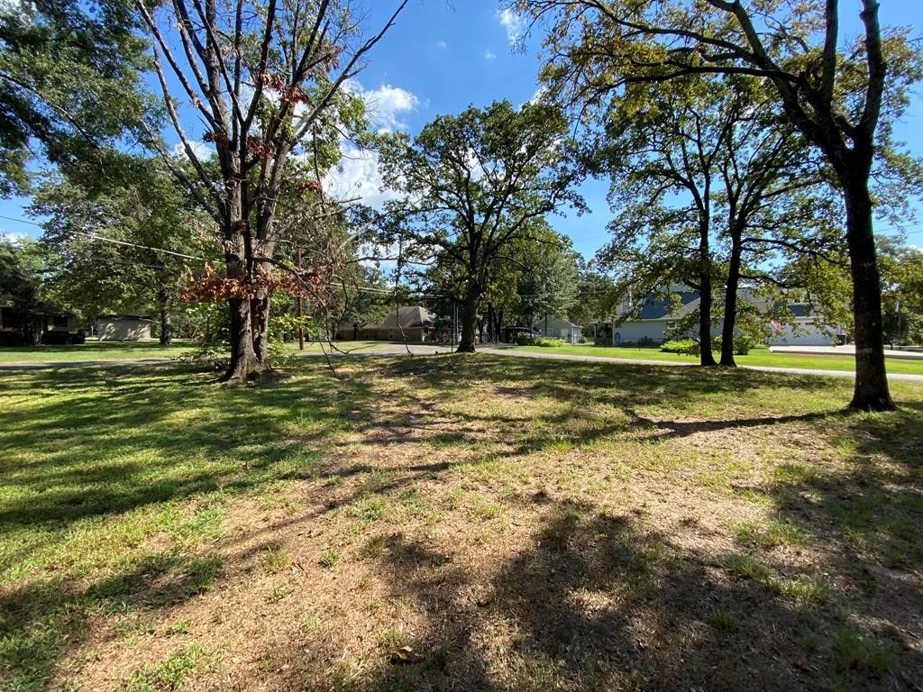 0 Santa Monica Drive, Mabank, TX 75156