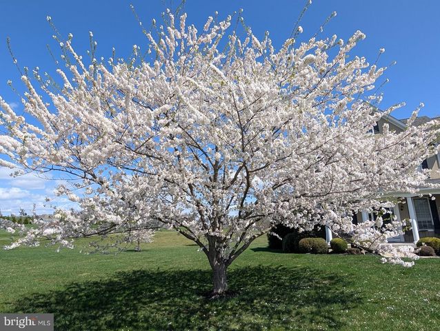 5 TURNOUT LN, Etters, PA 17319