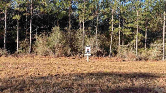 lot 65 Straw Bridge Rd, Allentown, FL 32565