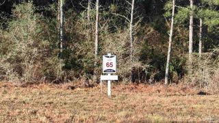 lot 65 Straw Bridge Rd, Allentown, FL 32565