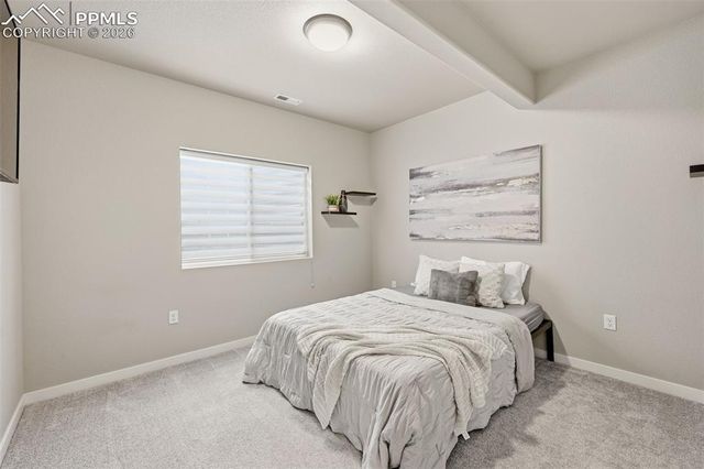 11915 Alydar Loop, Colorado Springs, CO 80921