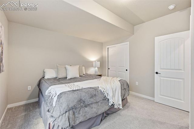 11915 Alydar Loop, Colorado Springs, CO 80921