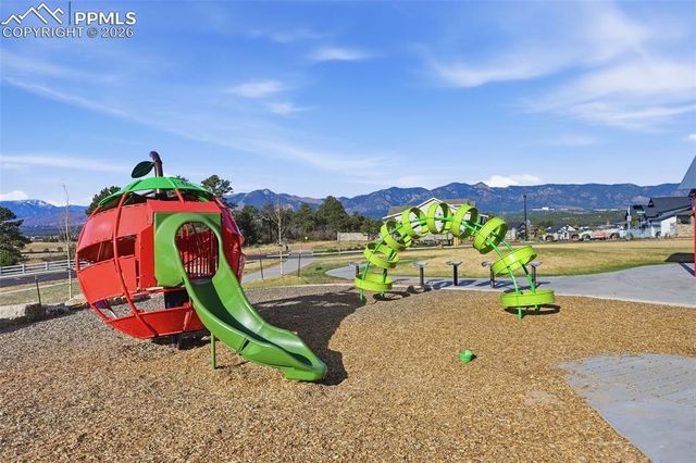 11915 Alydar Loop, Colorado Springs, CO 80921