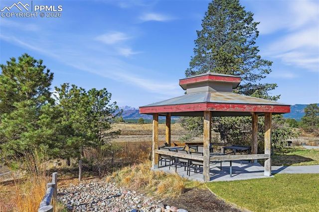 11915 Alydar Loop, Colorado Springs, CO 80921