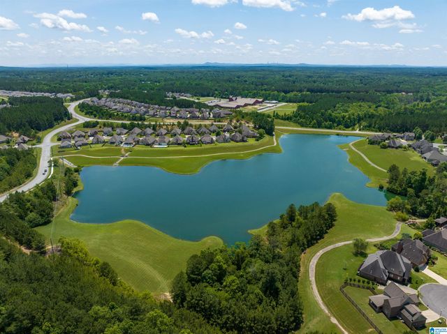479 LAKE CHELSEA WAY, Chelsea, AL 35043