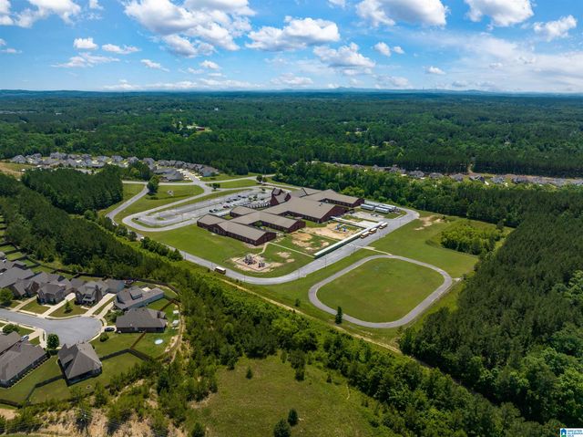 479 LAKE CHELSEA WAY, Chelsea, AL 35043