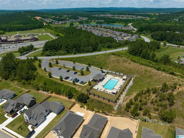 479 LAKE CHELSEA WAY, Chelsea, AL 35043