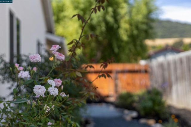 1125 Delta Way, Danville, CA 94526