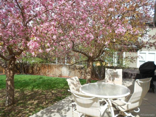 16445 Wagon Pl, Parker, CO 80134