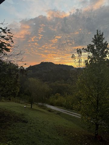 1 Julie Ln, Pleasant Shade, TN 37145