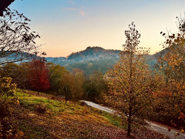 1 Julie Ln, Pleasant Shade, TN 37145