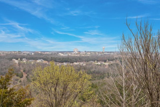 3105 S Vineyards Terrace Unit 2, Branson, MO 65616