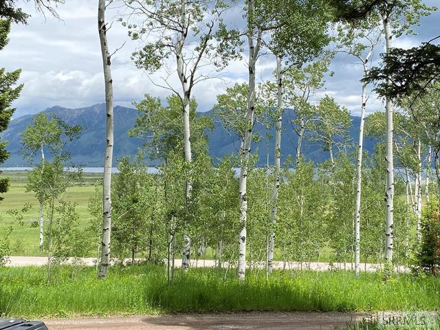 3628 Meadow View Lane, Island Park, ID 83429