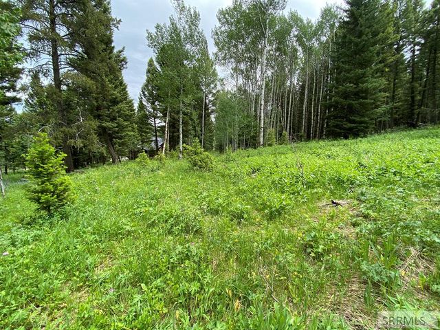 3628 Meadow View Lane, Island Park, ID 83429