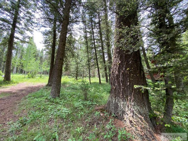 3628 Meadow View Lane, Island Park, ID 83429