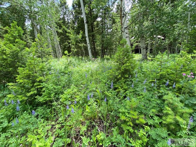 3628 Meadow View Lane, Island Park, ID 83429