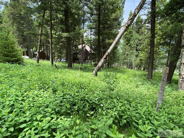 3628 Meadow View Lane, Island Park, ID 83429