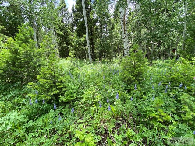 3628 Meadow View Lane, Island Park, ID 83429