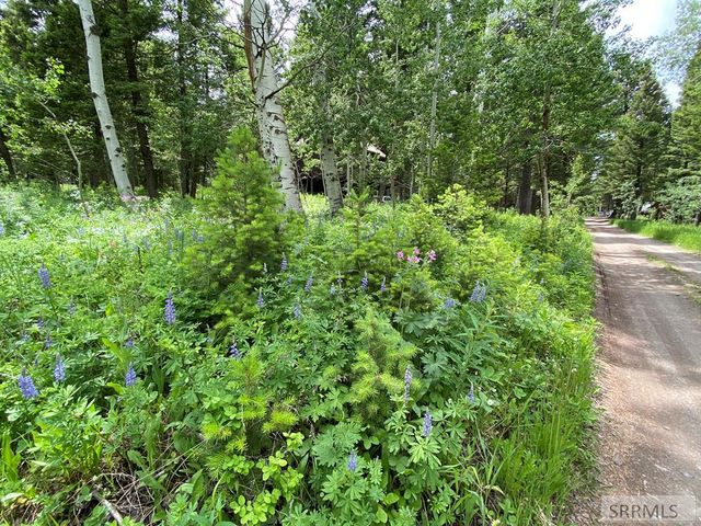 3628 Meadow View Lane, Island Park, ID 83429