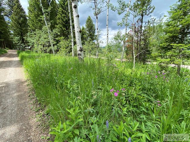 3628 Meadow View Lane, Island Park, ID 83429