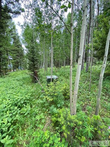 3628 Meadow View Lane, Island Park, ID 83429