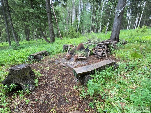 3628 Meadow View Lane, Island Park, ID 83429