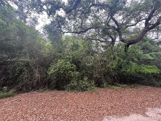 TBD Grand Oak 1, Palacios, TX 77465