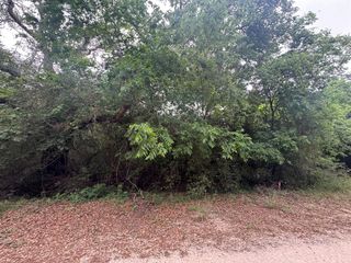 TBD Grand Oak 1, Palacios, TX 77465