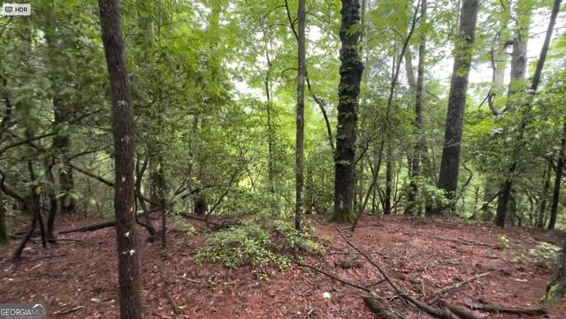 928 Fir Lane 3624, Ellijay, GA 30540